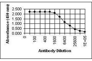 ELISA image for anti-Glycophorin C (GYPC) antibody (ABIN265604) (CD236/GYPC Antikörper)