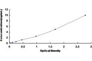 FHL1 ELISA Kit