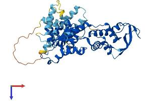 VPS4A Protein (AA 1-437) (His tag)