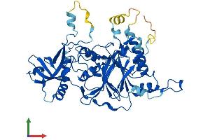 Protein Structure (PS) image for Polymerase (DNA Directed), delta 2, Accessory Subunit (POLD2) (AA 1-469) protein (His tag) (ABIN7562353)