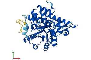 Protein Structure (PS) image for Hydroxyacid Oxidase (Glycolate Oxidase) 1 (HAO1) (AA 1-370) protein (His tag) (ABIN7548200)