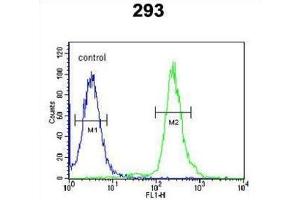 Flow Cytometry (FACS) image for anti-Guanylate Binding Protein 7 (GBP7) antibody (ABIN3002164) (GBP7 Antikörper)