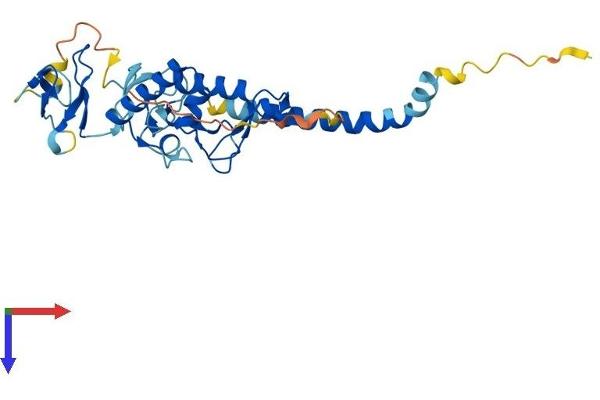 RNF144B Protein (AA 1-301) (His tag)
