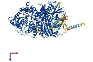 MAN2A2 Protein (AA 1-1150) (His tag)