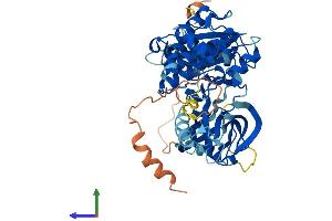 Protein Structure (PS) image for Fyn-Related Kinase (FRK) (AA 1-505) protein (His tag) (ABIN7547735)