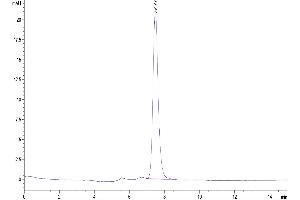 The purity of Biotinylated Human KIR3DL3 is greater than 95 % as determined by SEC-HPLC.