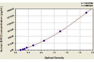 Typical Standard Curve (BIRC2 ELISA Kit)