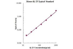 ELISA image for Interleukin 23 (IL23) ELISA Kit (ABIN2681248)