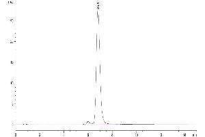 Size-exclusion chromatography-High Pressure Liquid Chromatography (SEC-HPLC) image for Apolipoprotein A-I (APOA1) (AA 25-267) protein (Fc Tag) (ABIN7273867)