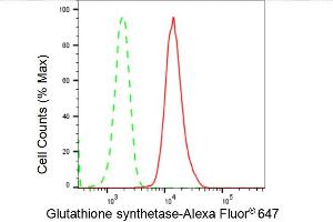 Flow cytometric analysis of Glutathione synthetase expression in HepG2 cells using Glutathione synthetase antibody (ABIN7798760), 1:2,000).