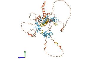 AlphaFold protein structure predicition of Human Recombinant BCL6B Protein, UniprotID Q8N143
