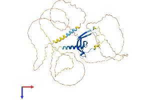 CBX2 Protein (AA 1-519) (His tag)