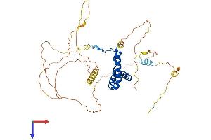 SOX1 Protein (AA 1-391) (His tag)