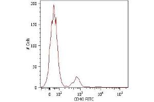 Surface staining of human peripheral blood cells with anti-human CD40 (HI40a) FITC. (CD40 Antikörper  (PE))