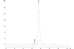The purity of Biotinylated Mouse PD-1 is greater than 95 % as determined by SEC-HPLC.