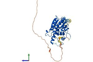 Protein Structure (PS) image for Phosphoglycerate Mutase Family Member 5 (PGAM5) (AA 1-288) protein (His tag) (ABIN7558984)