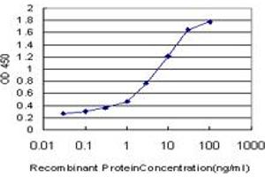 Detection limit for recombinant GST tagged NOLC1 is approximately 0. (NOLC1 Antikörper  (AA 590-699))