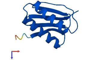 DYNLL1 Protein (AA 1-89) (His tag)