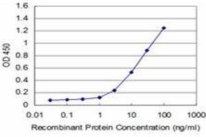 Detection limit for recombinant GST tagged GCM1 is approximately 1ng/ml as a capture antibody. (GCM1 Antikörper  (AA 108-166))