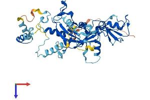 SNAPC3 Protein (AA 1-411) (His tag)