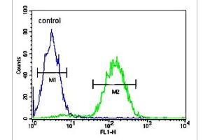 Flow cytometric analysis of Jurkat cells using MAGEA3 polyclonal antibody  (right histogram) compared to a negative control cell (left histogram). (MAGEA3 Antikörper  (AA 283-314))