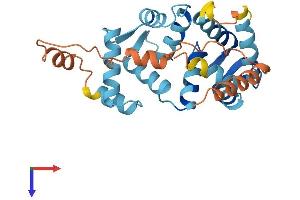 KCNIP4 Protein (AA 1-250) (His tag)