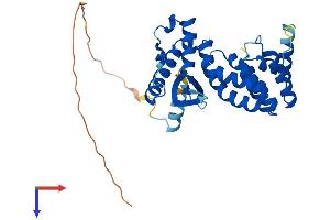 SNX20 Protein (AA 1-313) (His tag)