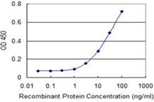 Detection limit for recombinant GST tagged MAPK13 is 1 ng/ml as a capture antibody. (MAPK13 Antikörper  (AA 1-365))