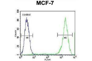 PCDH20 Antibody (Center) flow cytometric analysis of MCF-7 cells (right histogram) compared to a negative control cell (left histogram).