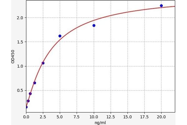 MT1 ELISA Kit