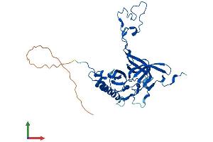 AlphaFold protein structure predicition of Mouse Recombinant Mrpl3 Protein, UniprotID Q99N95