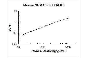 Typical Standard Curve