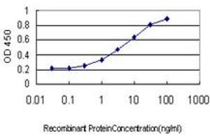 Detection limit for recombinant GST tagged FOXA2 is approximately 0. (FOXA2 Antikörper  (AA 363-457))