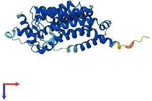 G6PC3 Protein (AA 1-346) (His tag)