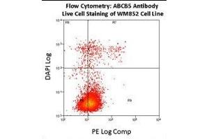 Flow cytometry using ABCB5 antibody on fresh WM852 cells.