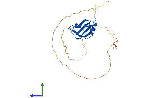 Protein Structure (PS) image for RNA Binding Motif Protein 24 (RBM24) (AA 1-236) protein (His tag) (ABIN7551238)