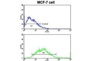 Flow Cytometry (FACS) image for anti-Cadherin 9 (CDH9) antibody (ABIN2997913) (Cadherin 9 Antikörper)