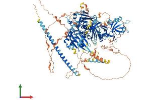 Protein Structure (PS) image for Signal-Induced Proliferation-Associated 1 (SIPA1) (AA 1-1037) protein (His tag) (ABIN7563270)