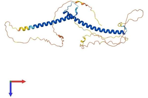 TFEC Protein (AA 1-317) (His tag)