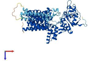 STT3A Protein (AA 1-705) (His tag)