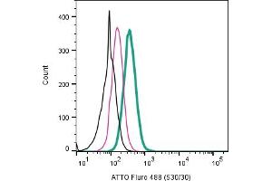 Cell surface detection of 5-Hydroxytryptamine receptor 2B by direct flow cytometry in live intact human  monocytic leukemia cell line: + Rabbit IgG Isotype Control-ATTO Fluro-488 (ABIN7582041). (Serotonin Receptor 2B Antikörper  (Extracellular) (Atto 488))