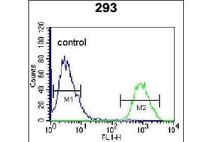 HOPX Antibody (C-term) (ABIN655402 and ABIN2844948) flow cytometric analysis of 293 cells (right histogram) compared to a negative control cell (left histogram). (HOPX Antikörper  (C-Term))