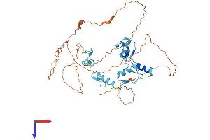 GFI1 Protein (AA 1-422) (His tag)