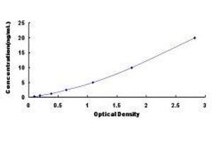 ELISA image for Programmed Cell Death 6 Interacting Protein (PDCD6IP) ELISA Kit (ABIN418576) (ALIX ELISA Kit)