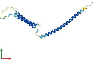Protein Structure (PS) image for Mediator Complex Subunit 21 (MED21) (AA 1-144) protein (His tag) (ABIN7560509)