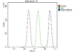 Flow Cytometry analysis of HEPA1-6 cells using anti-FADD antibody (ABIN7602804). (FADD Antikörper  (C-Term))