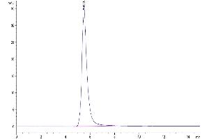 Size-exclusion chromatography-High Pressure Liquid Chromatography (SEC-HPLC) image for Fibroblast Growth Factor Receptor 4 (FGFR4) (AA 22-369) protein (Fc Tag) (ABIN7274619)