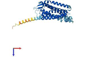 Melanin-Concentrating Hormone Receptor 2 (MCHR2) (AA 1-340) protein (His tag)