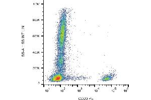 Flow cytometry analysis (surface staining) of human peripheral blood with anti-CD20 (2H7) PE.