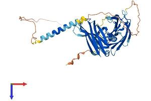 SYT8 Protein (AA 1-395) (His tag)